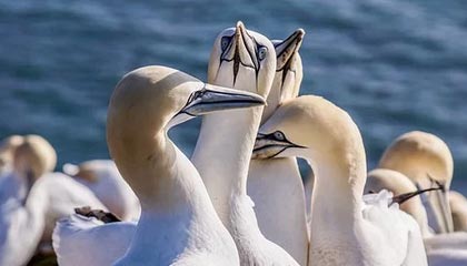 苏超启用统一购票平台，抢票改为预约摇号制，解决购票难问题